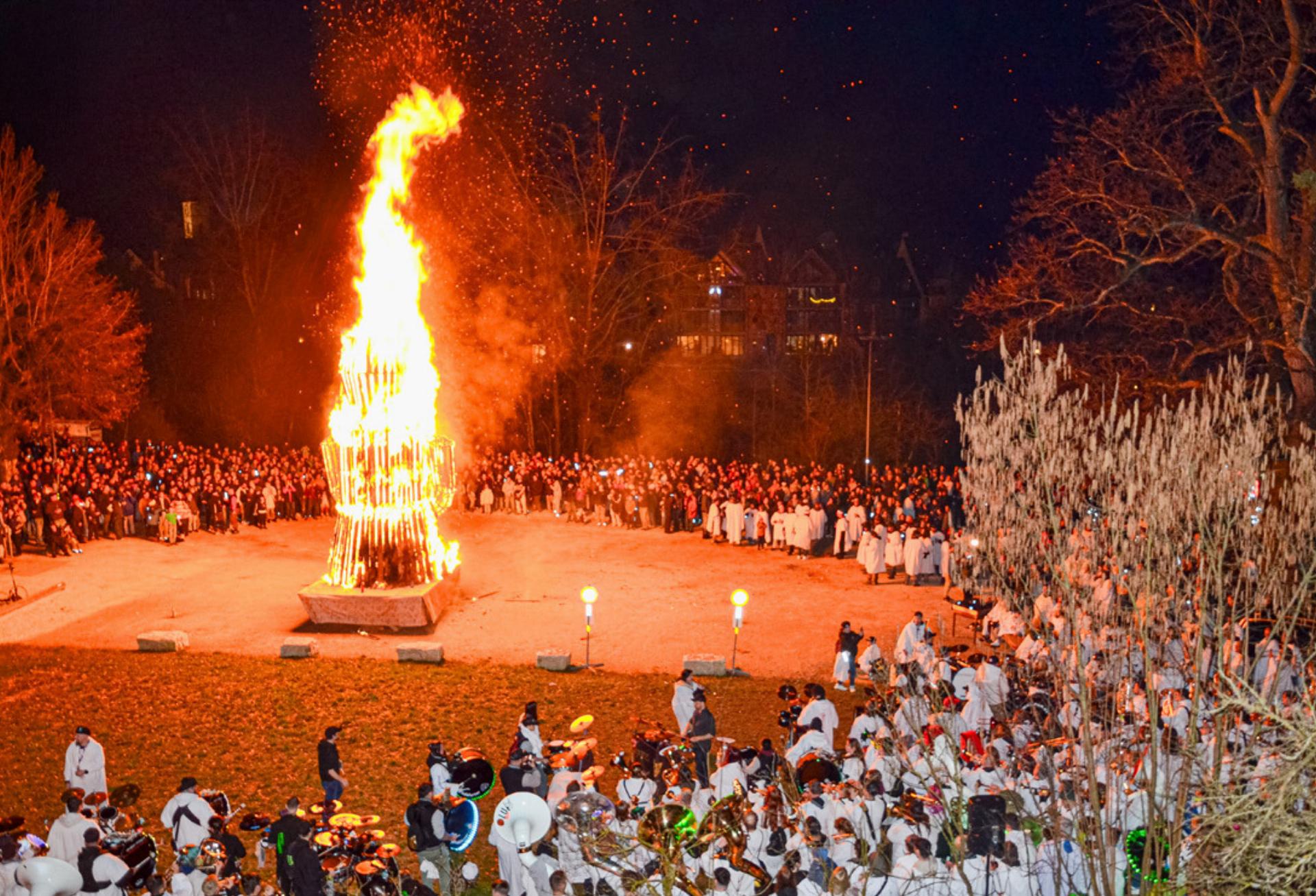 Katzenmutter im «Chluuri»-Himmel - Das Bild wird blockiert. – Möglicherweise durch einen aktiven Adblocker.