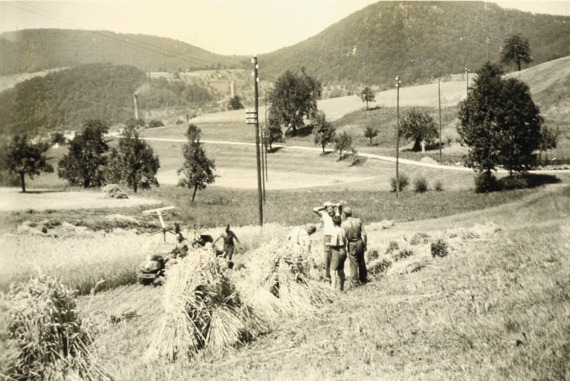 Ernten vor 70 Jahren