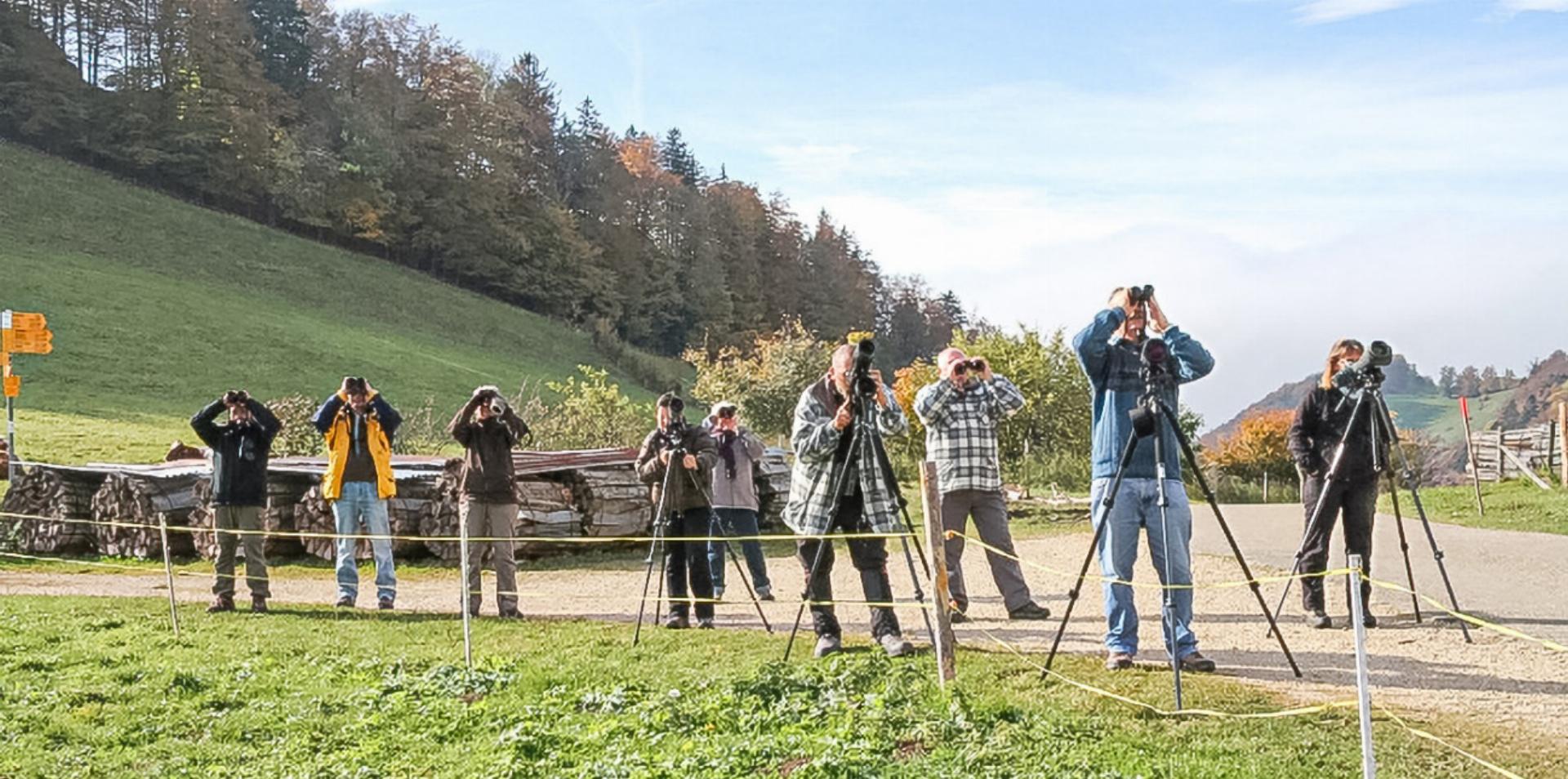 Beringung auf der Ulmethöchi - Das Bild wird blockiert. – Möglicherweise durch einen aktiven Adblocker.