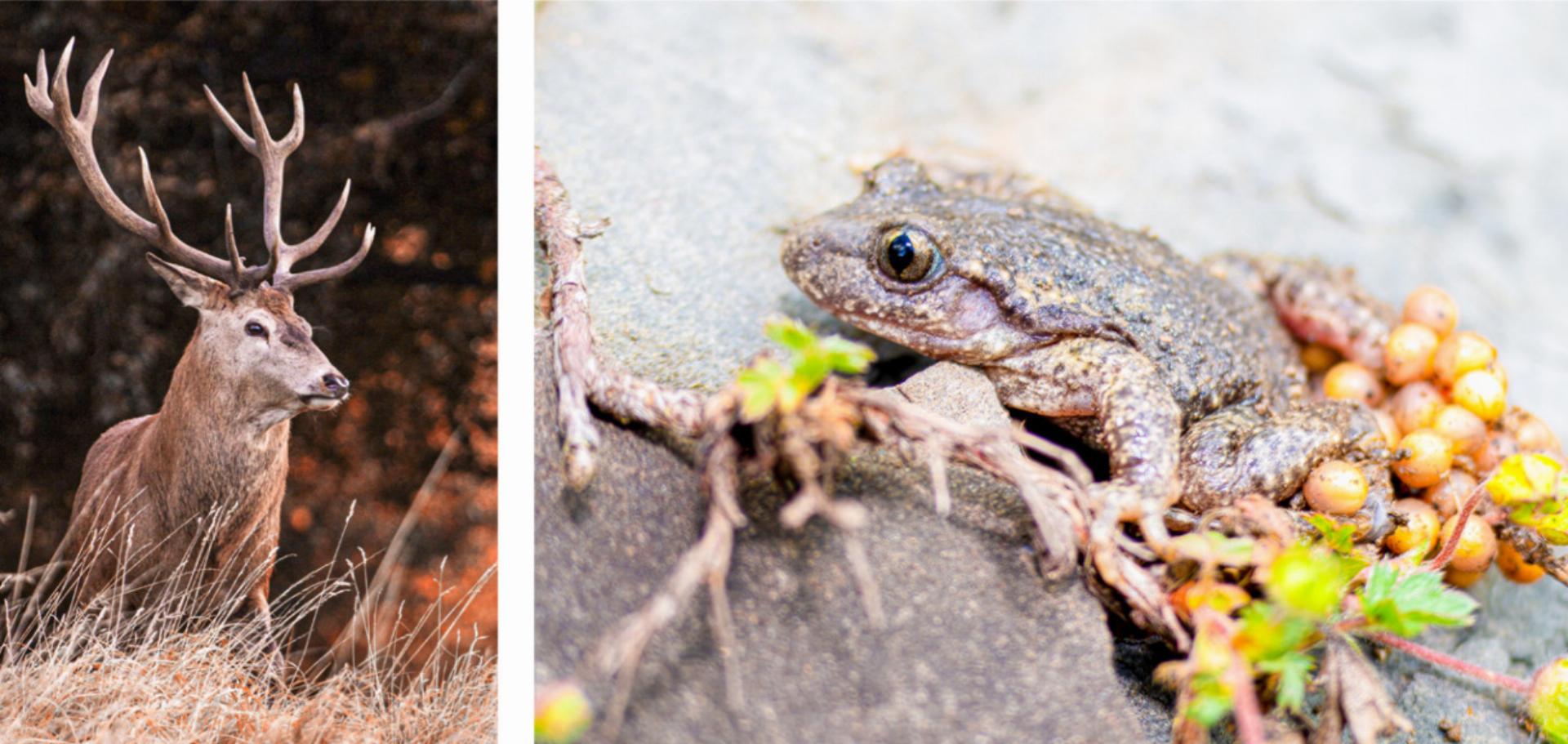 «Überführungen werden gut genutzt» - Das Bild wird blockiert. – Möglicherweise durch einen aktiven Adblocker.