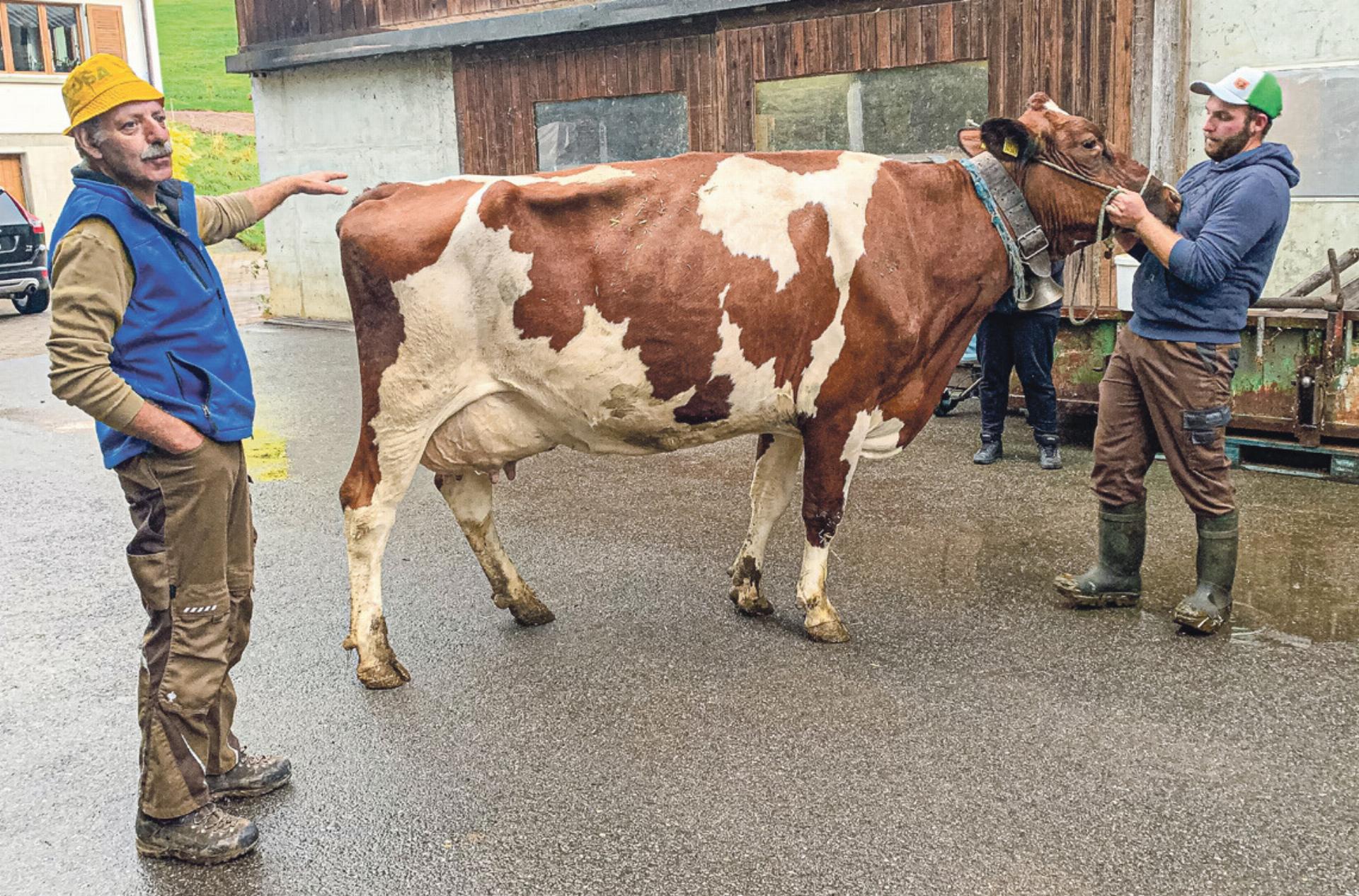 Bauer Niklaus Plüss und Jungbauer Patrick Plüss präsentieren eine ihrer besten Kühe im Stall. Bild zvg