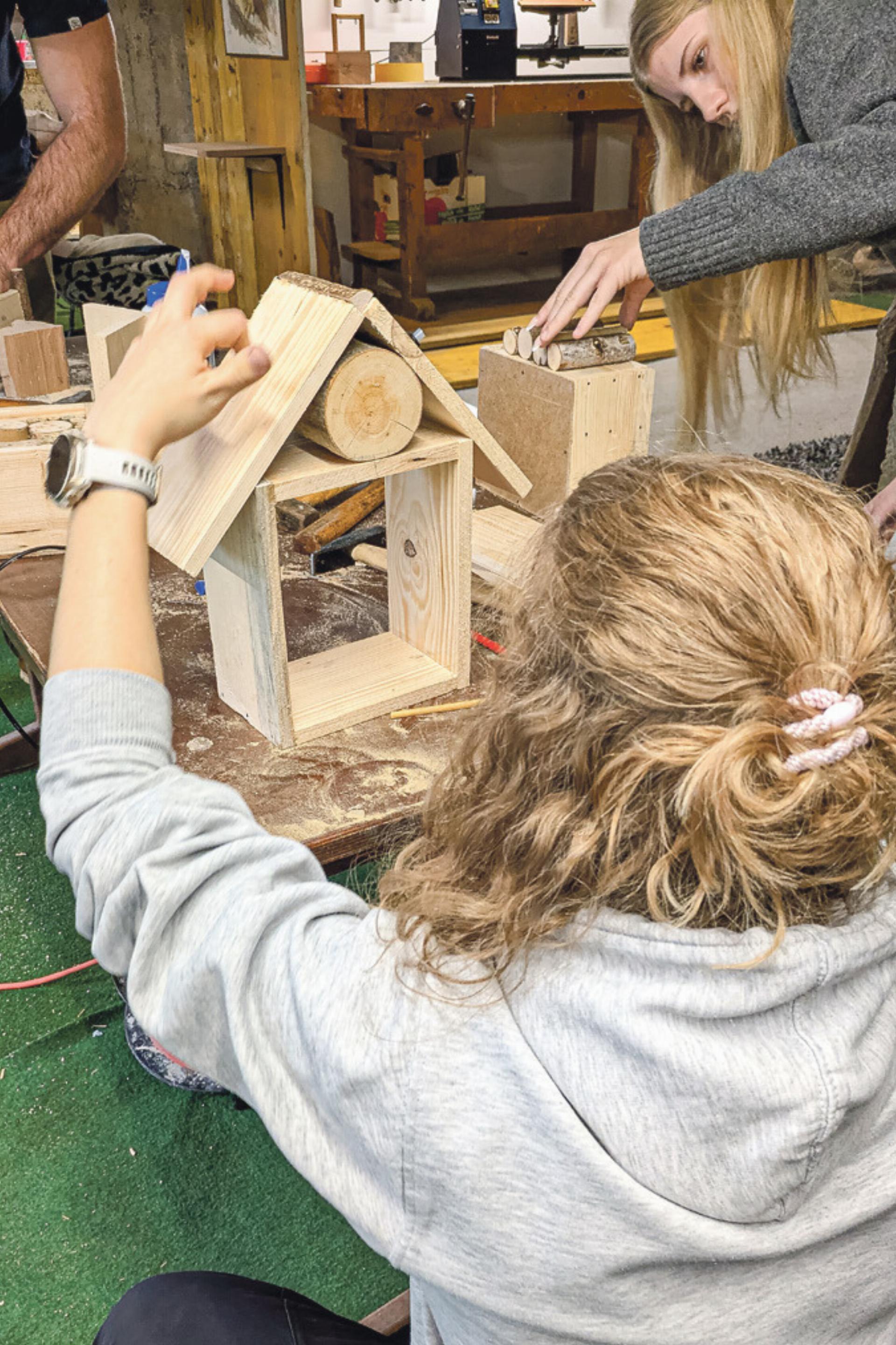 Hotels für die Insekten - Das Bild wird blockiert. – Möglicherweise durch einen aktiven Adblocker.