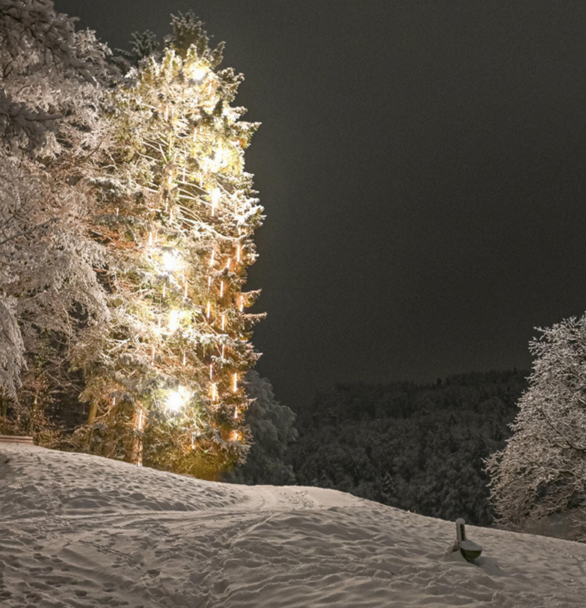 Glühwein, Glockenseil und Schangis Gebiss