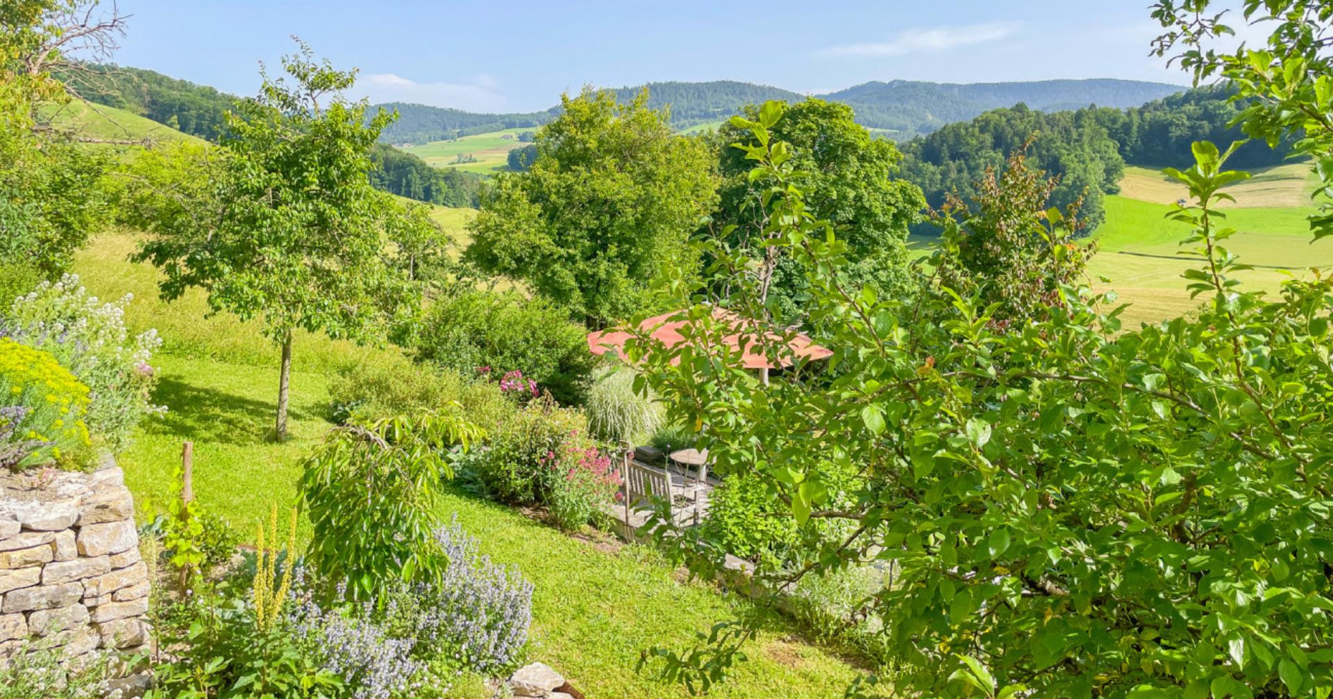 So blüht der Garten den ganzen Sommer - Das Bild wird blockiert. – Möglicherweise durch einen aktiven Adblocker.