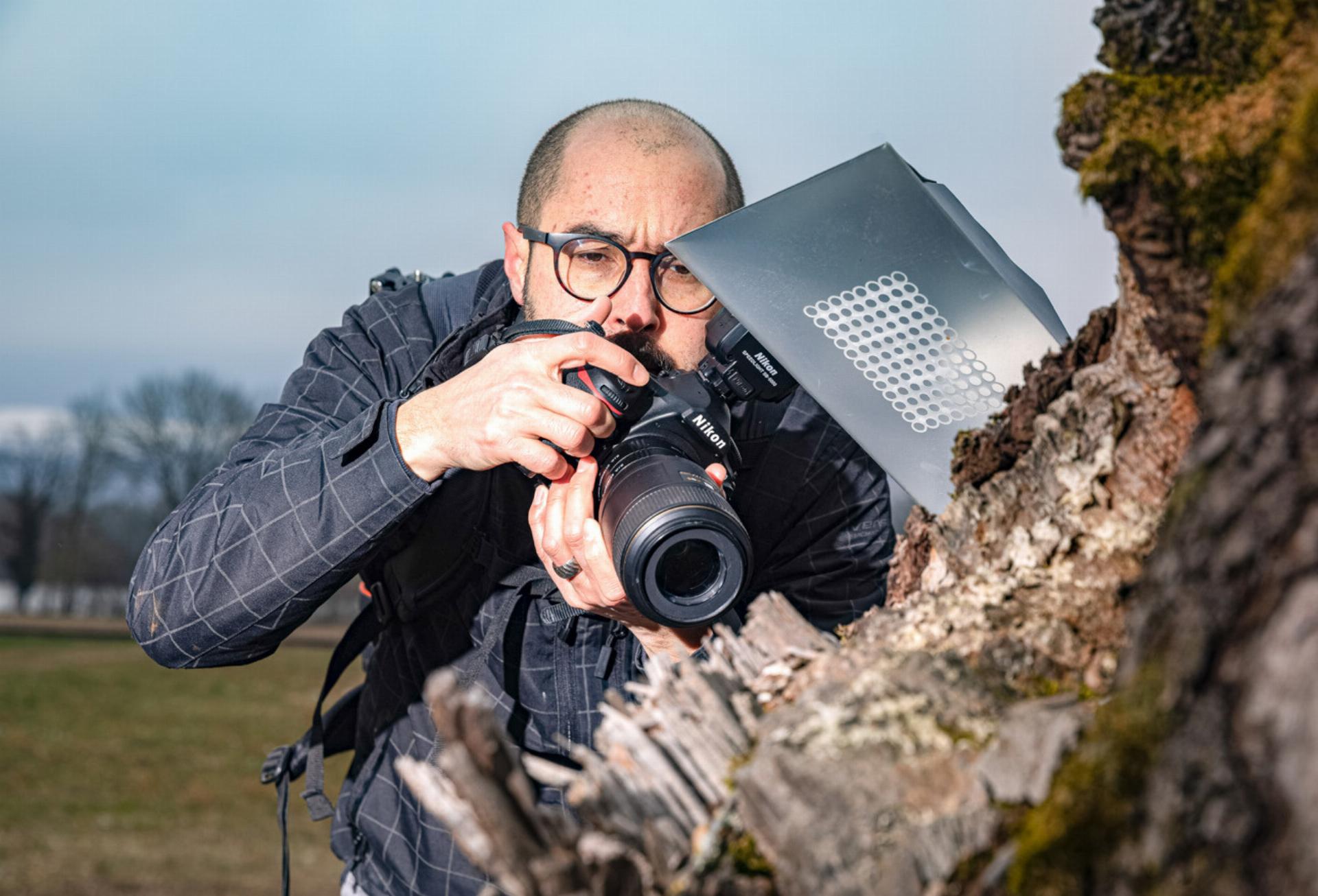 Streifzug durch die Insektenwelt - Das Bild wird blockiert. – Möglicherweise durch einen aktiven Adblocker.