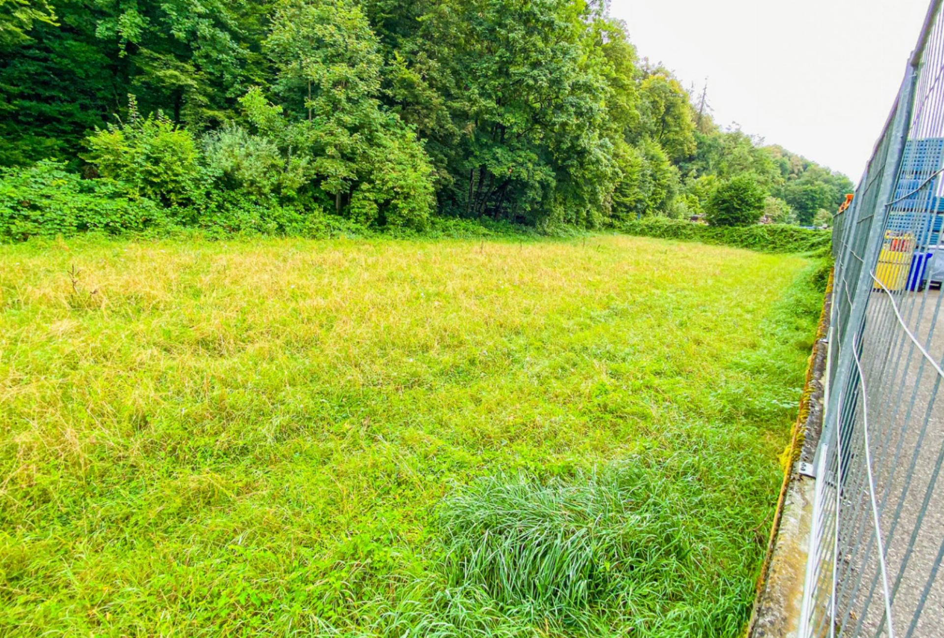 Naturschützer erheben Einsprache