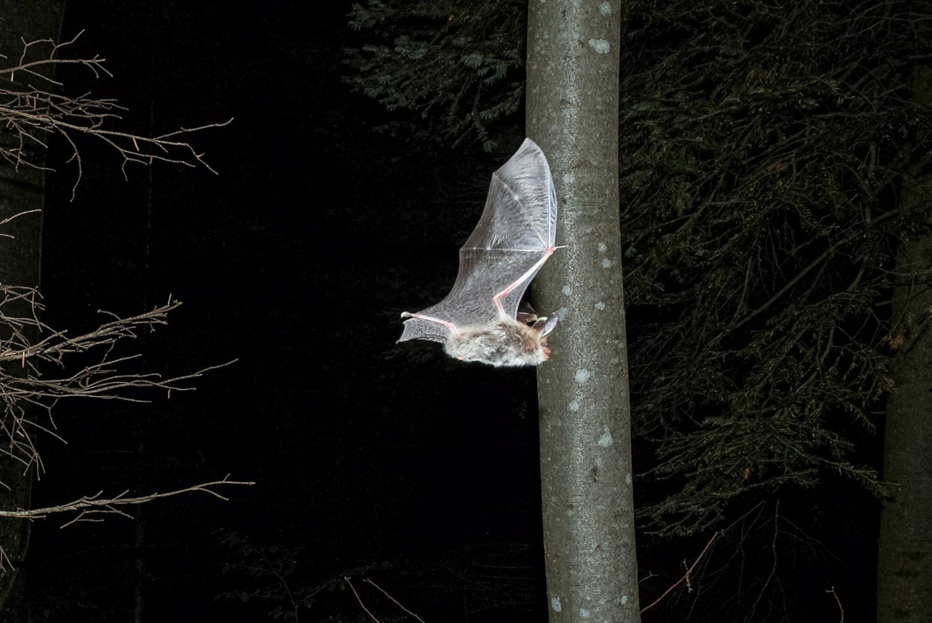 Wenn die Sonne untergegangen ist - Das Bild wird blockiert. – Möglicherweise durch einen aktiven Adblocker.