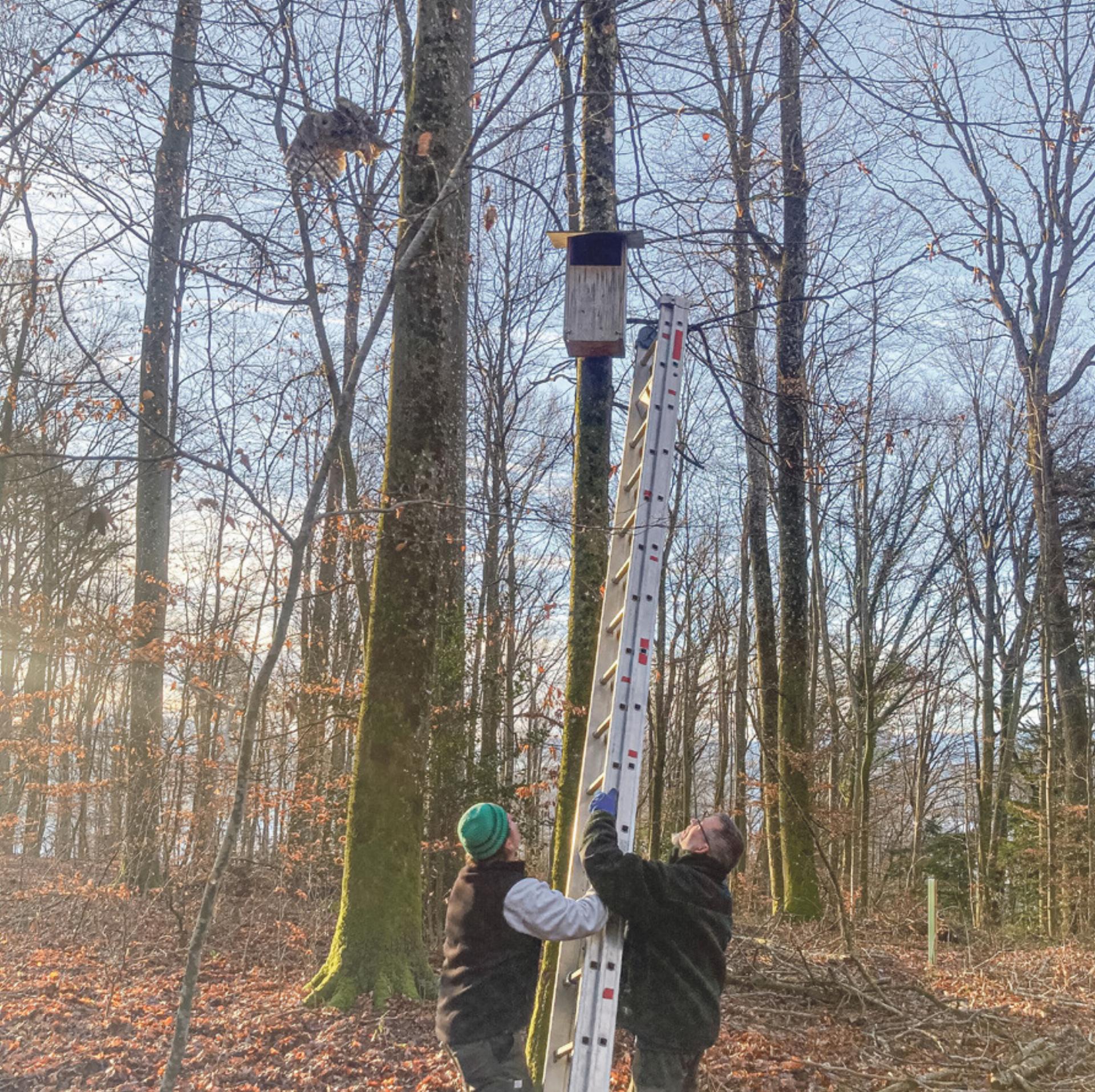 Kontrolle und Reinigung: Winterputz in Nistkästen - Das Bild wird blockiert. – Möglicherweise durch einen aktiven Adblocker.