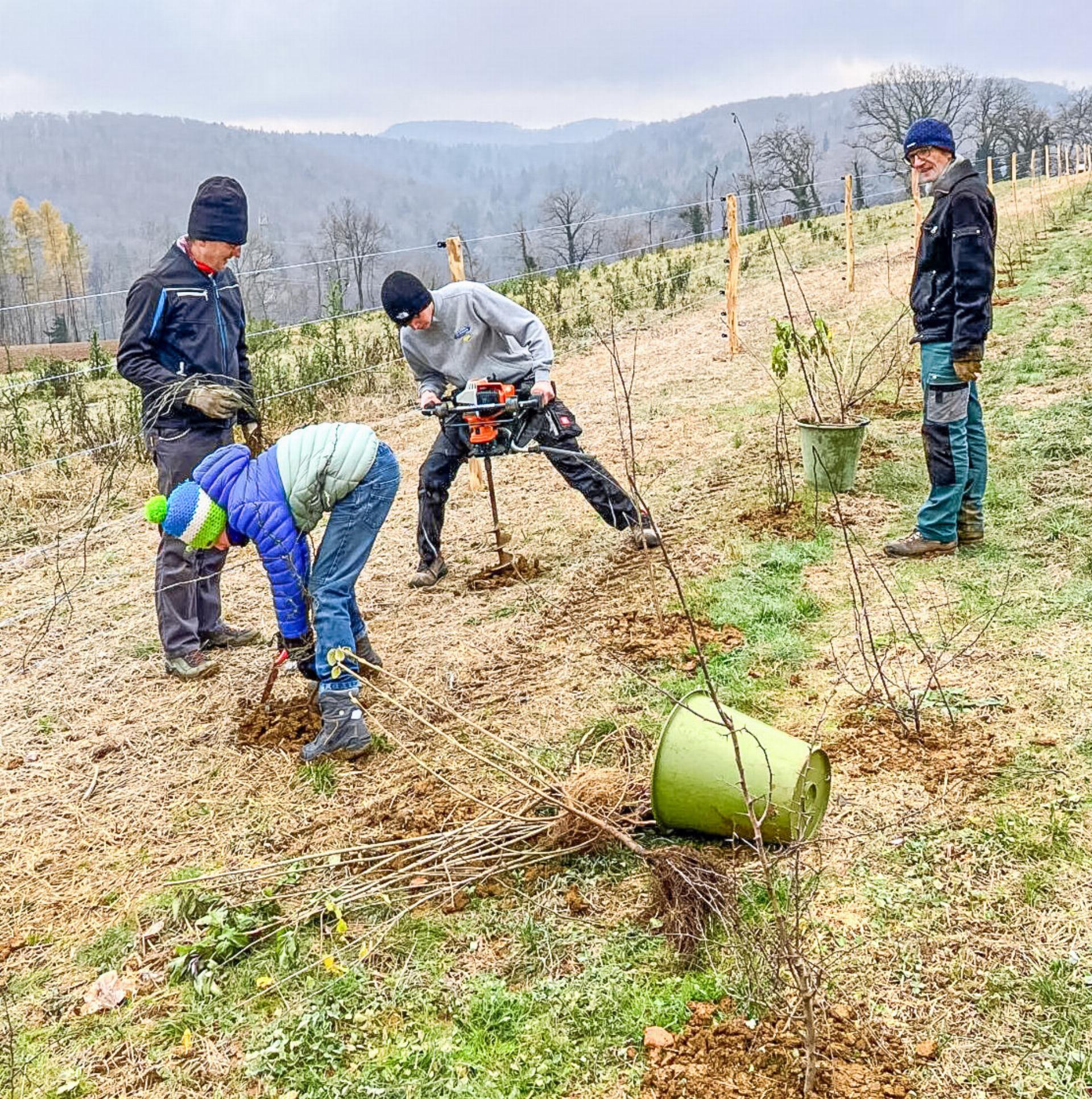 Dank Konfitüre zu mehr Wildhecken - Das Bild wird blockiert. – Möglicherweise durch einen aktiven Adblocker.
