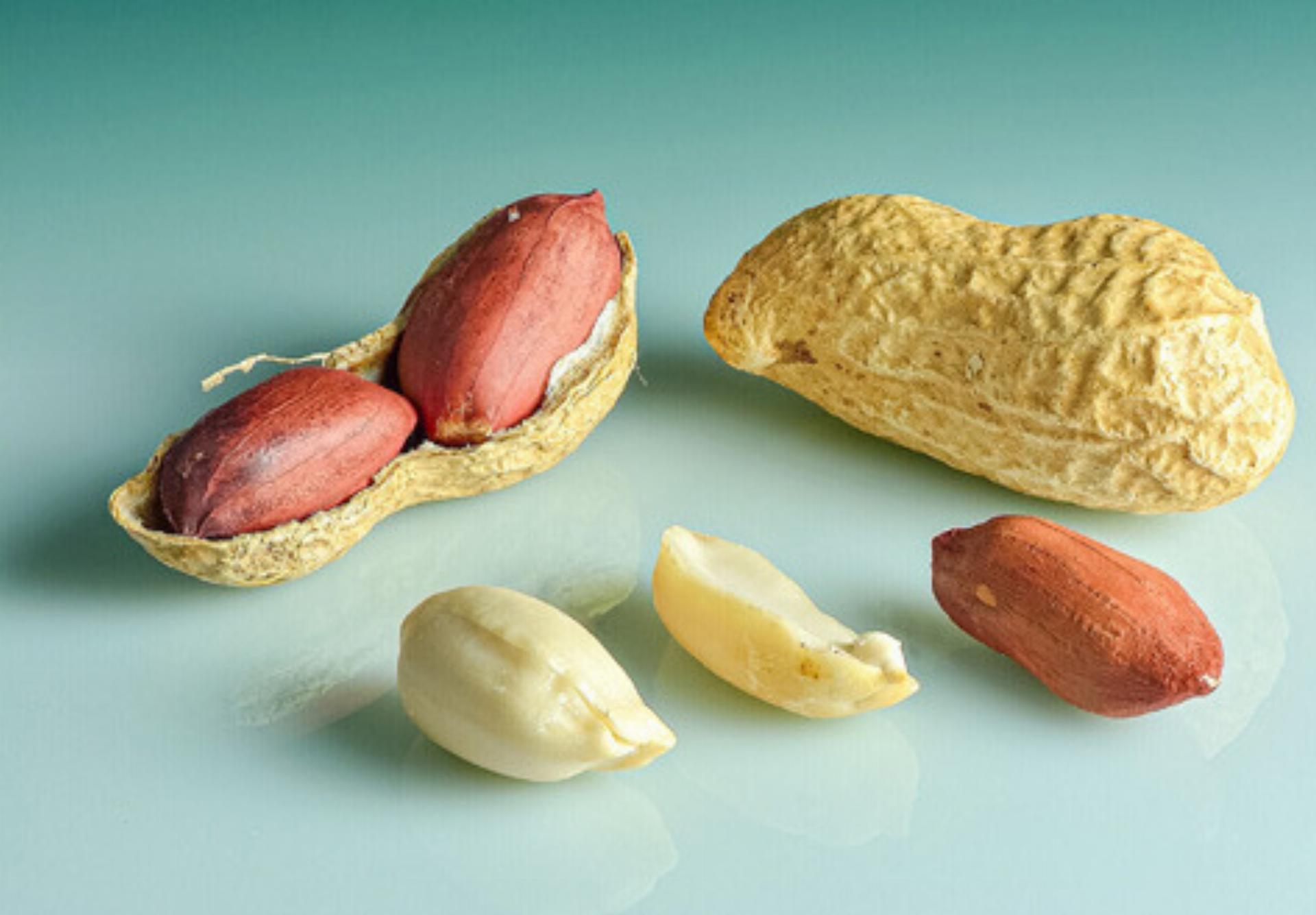 Viel älter als der Sankt Nikolaus - Das Bild wird blockiert. – Möglicherweise durch einen aktiven Adblocker.