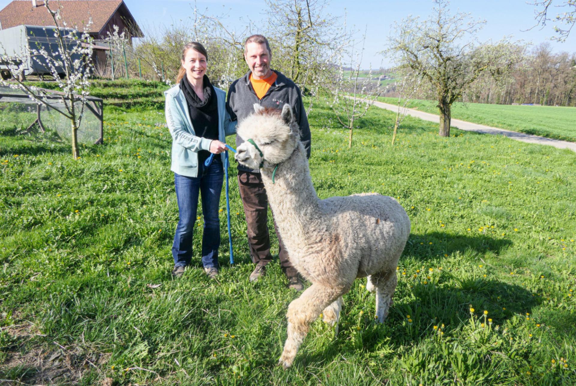 Von Kriegerprinzessinnen und Vorwitzigen