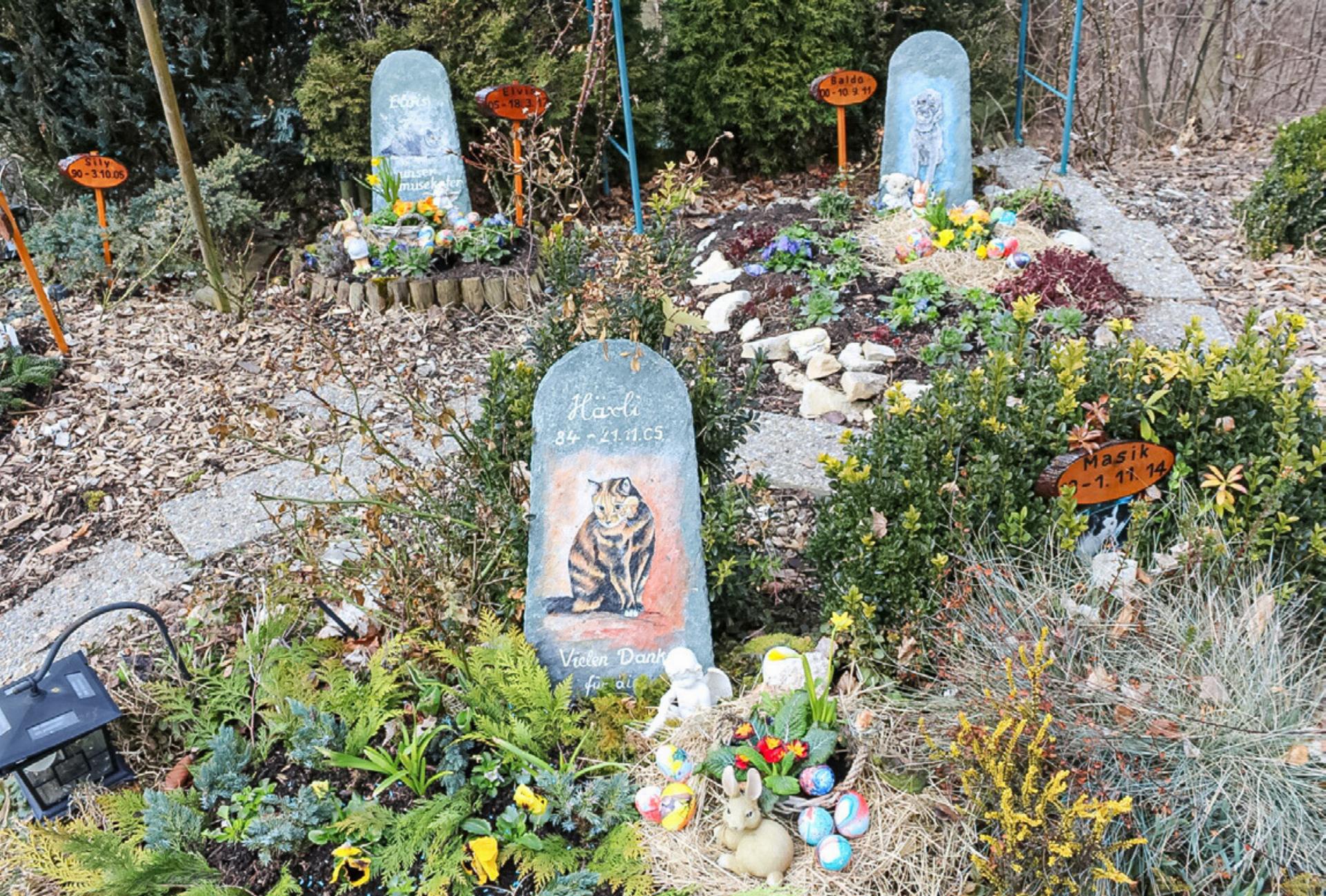 Wer kümmert sich um den Tierfriedhof? - Das Bild wird blockiert. – Möglicherweise durch einen aktiven Adblocker.