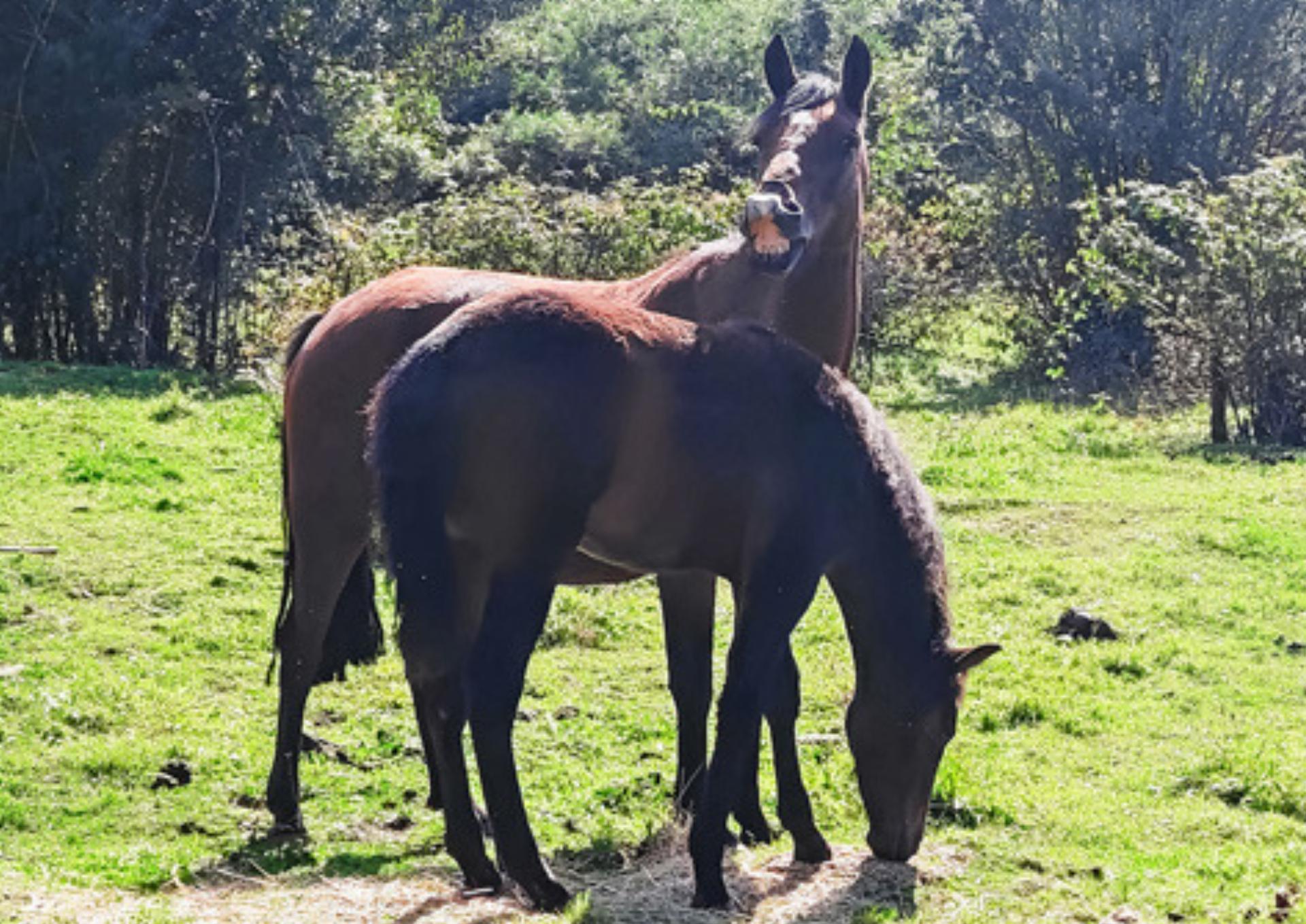 Armut und Glück - Das Bild wird blockiert. – Möglicherweise durch einen aktiven Adblocker.