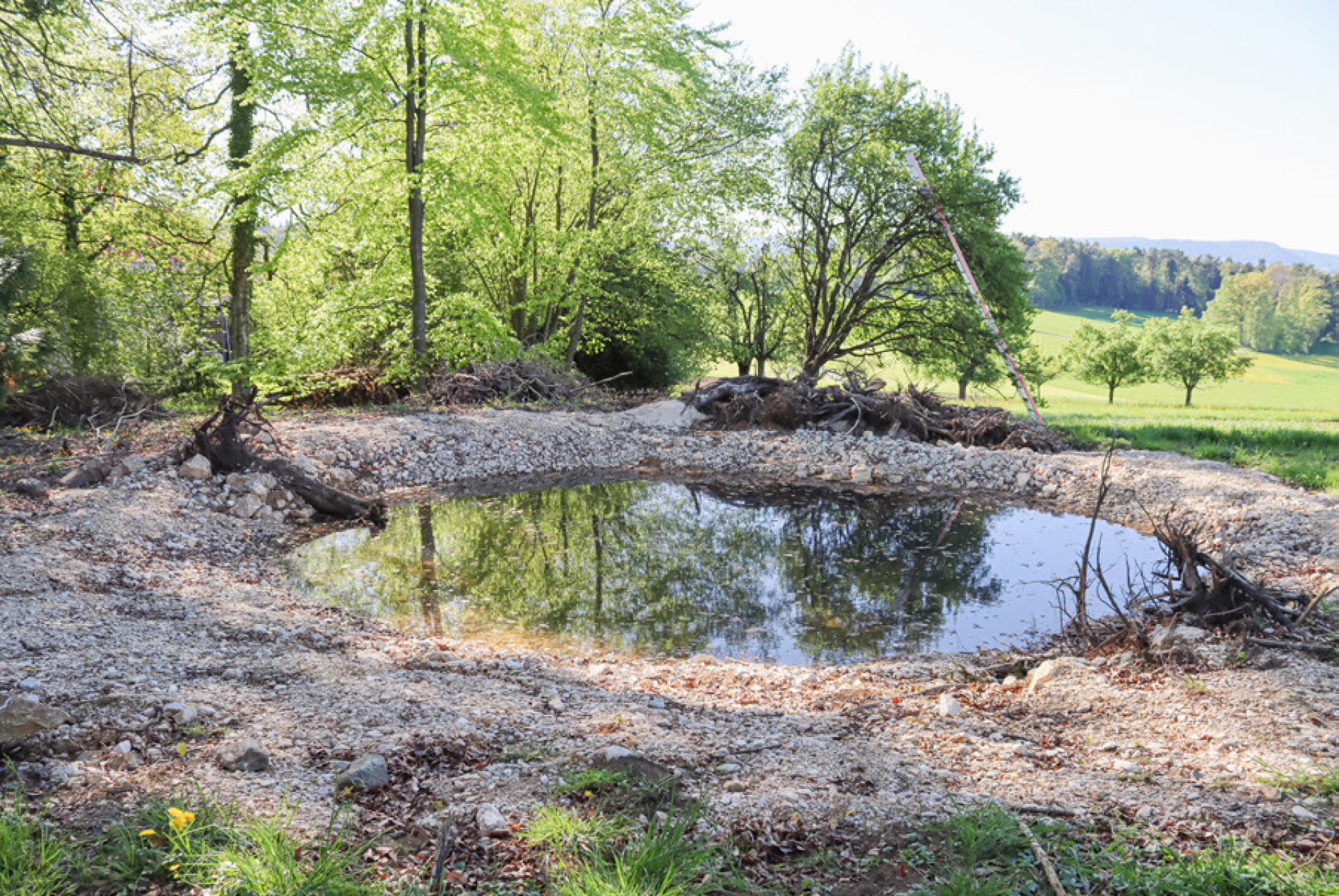 Neue Weiher für bedrohte Amphibien - Das Bild wird blockiert. – Möglicherweise durch einen aktiven Adblocker.