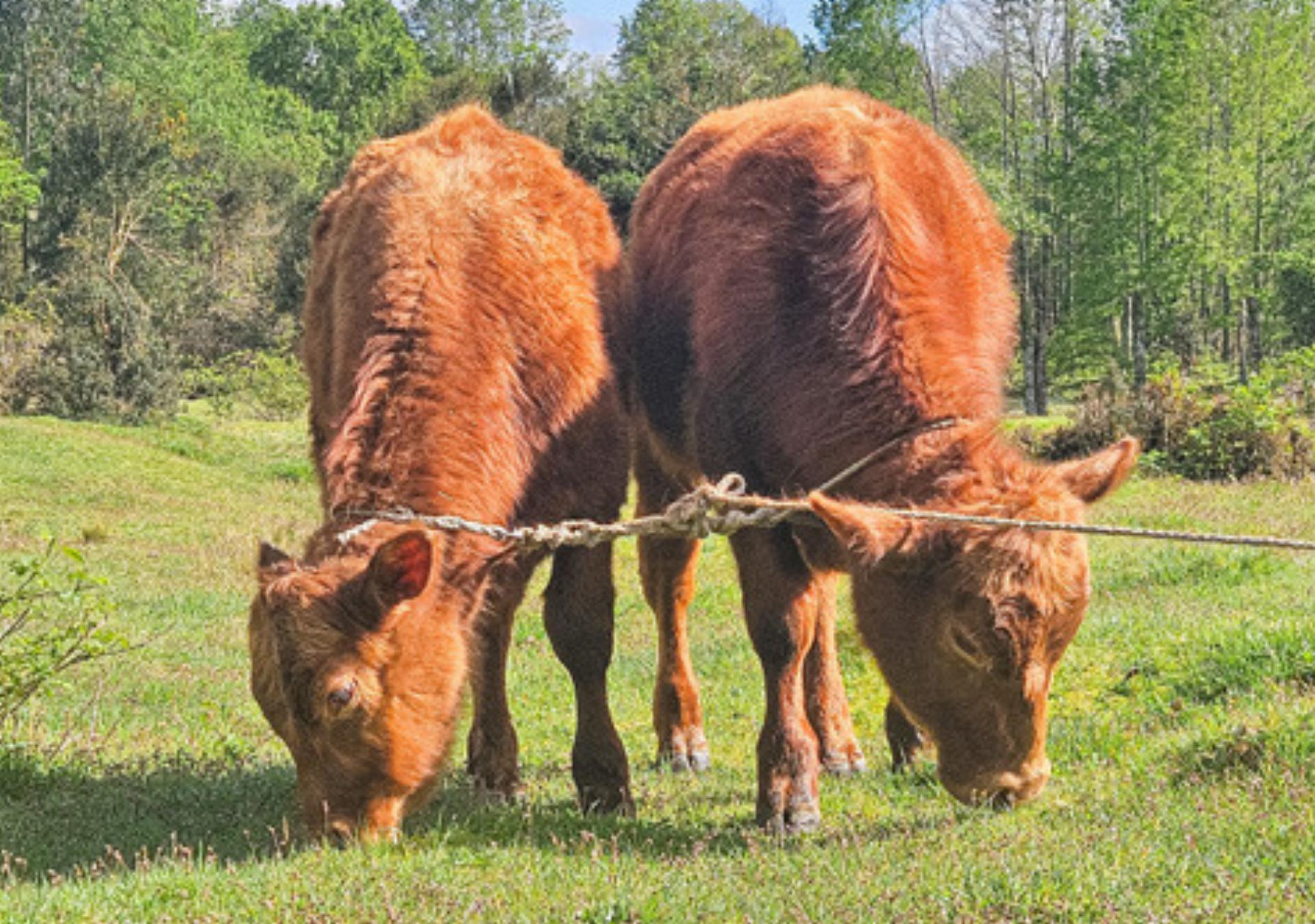 Fangen, Treiben und Handeln - Das Bild wird blockiert. – Möglicherweise durch einen aktiven Adblocker.