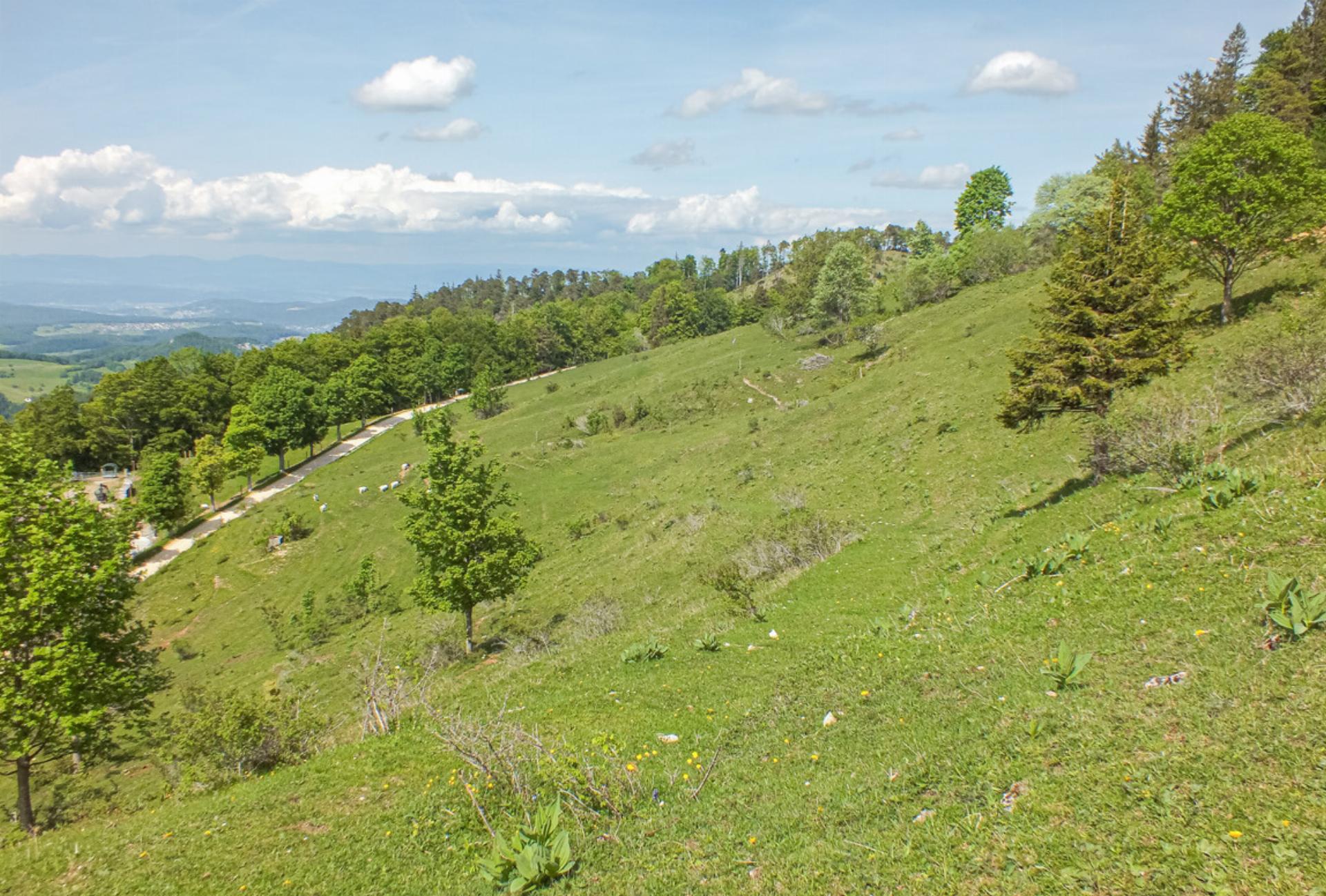 Naturpark deutlich abgeschmettert