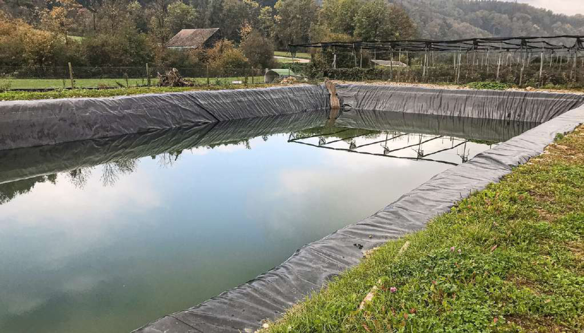 Der Obstbauer Ernst Lüthi hat bei seinen Kulturen in Hölstein einen Bewässerungsteich_angelegt, der unter anderem mit Dachwasser vom «Öpfelhüsli» gespiesen wird. Bild zvg