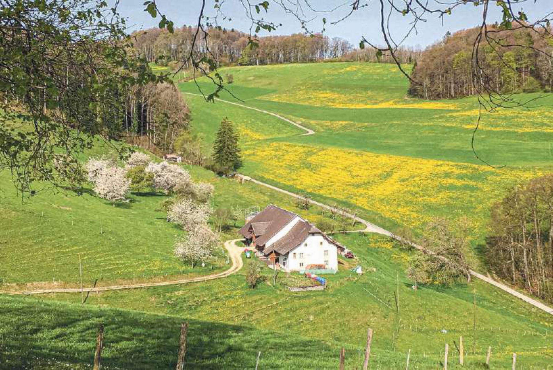 Dieses Frühlingsfoto machte Ivo Schädler aus Läufelfi ngen im Gebiet Hauenstein.
