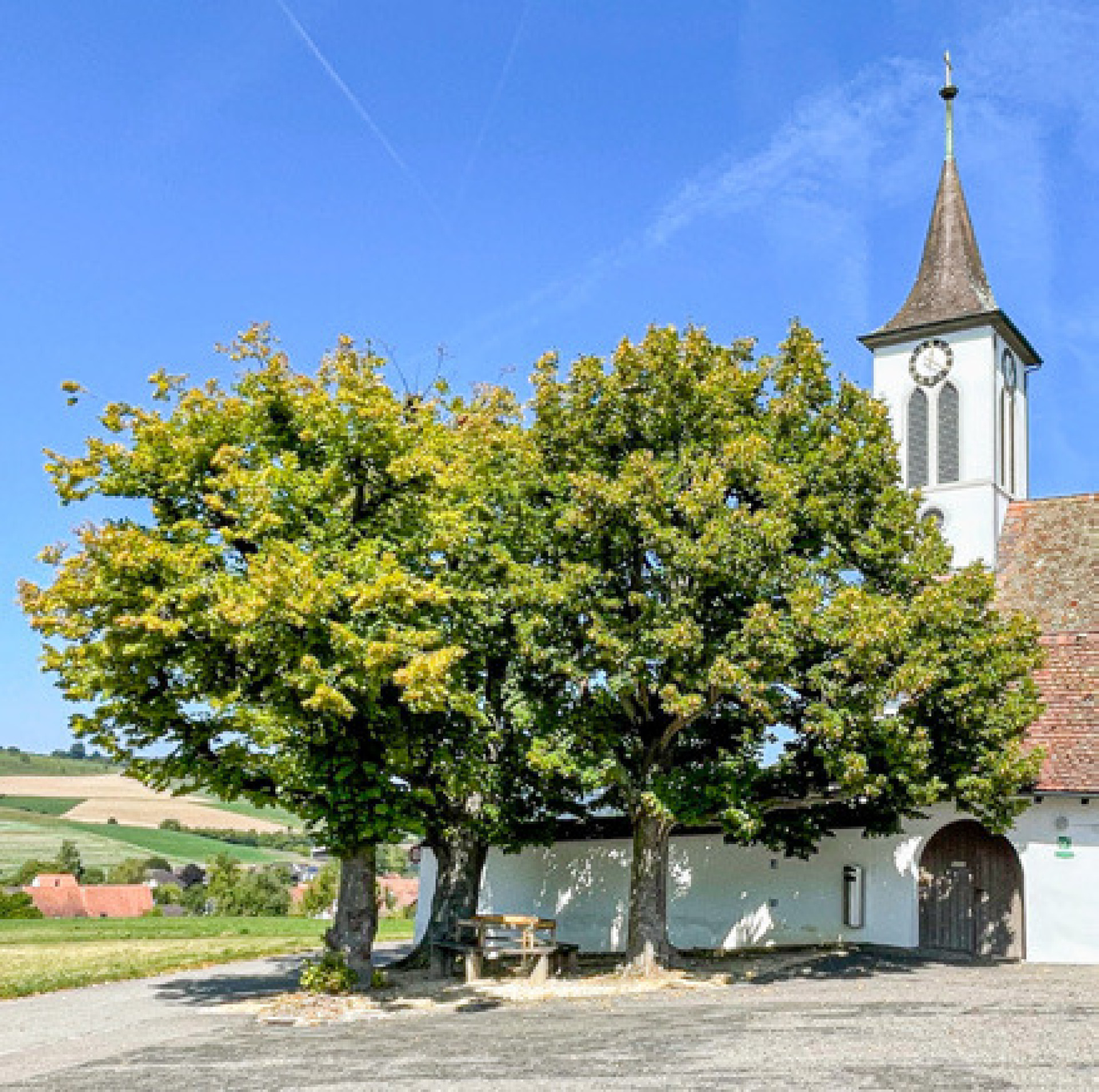 70 Unterschriften für 3 Kirchenlinden