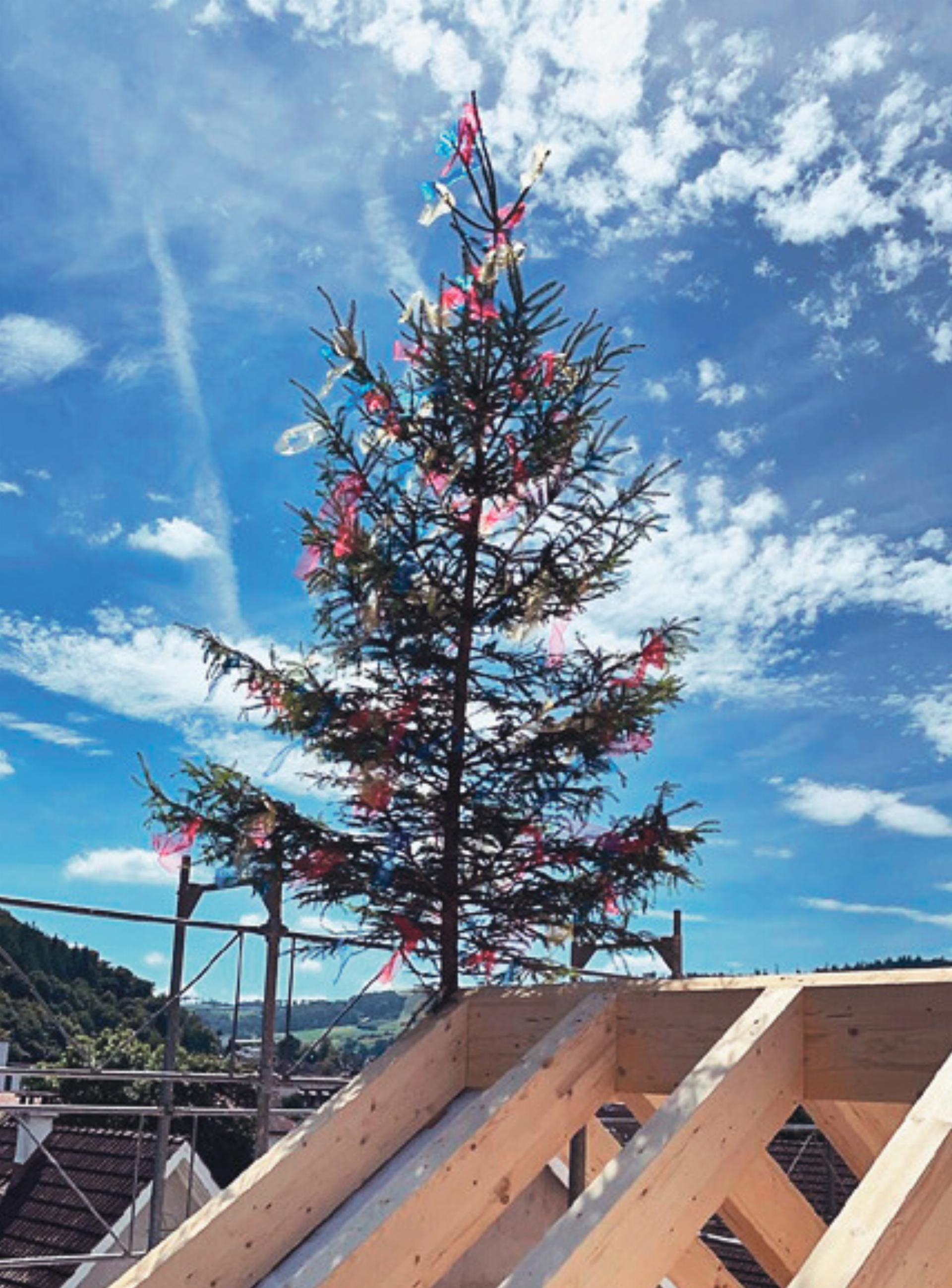 Vom Baum zum Bau