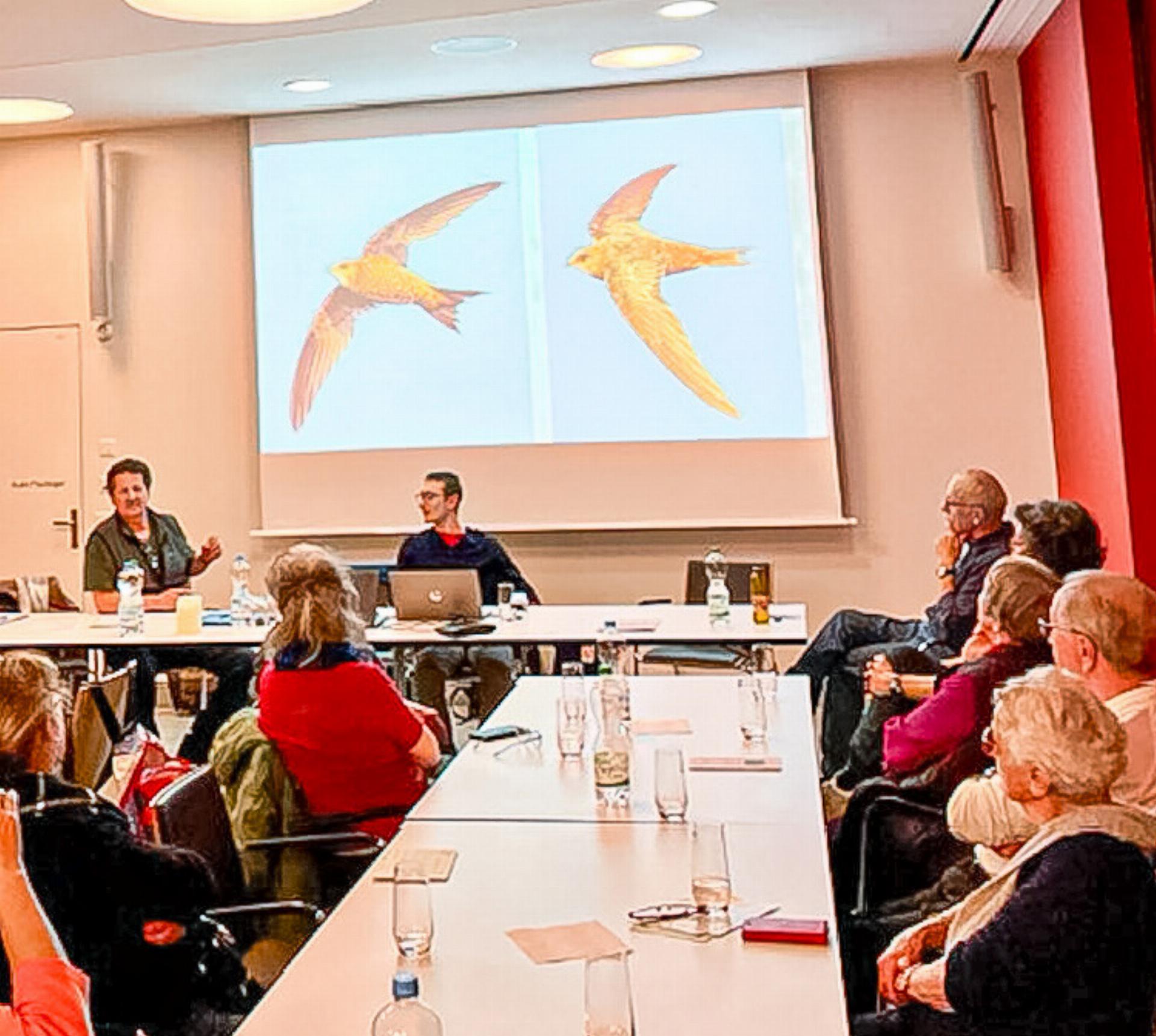 Positiver Rückblick - Das Bild wird blockiert. – Möglicherweise durch einen aktiven Adblocker.