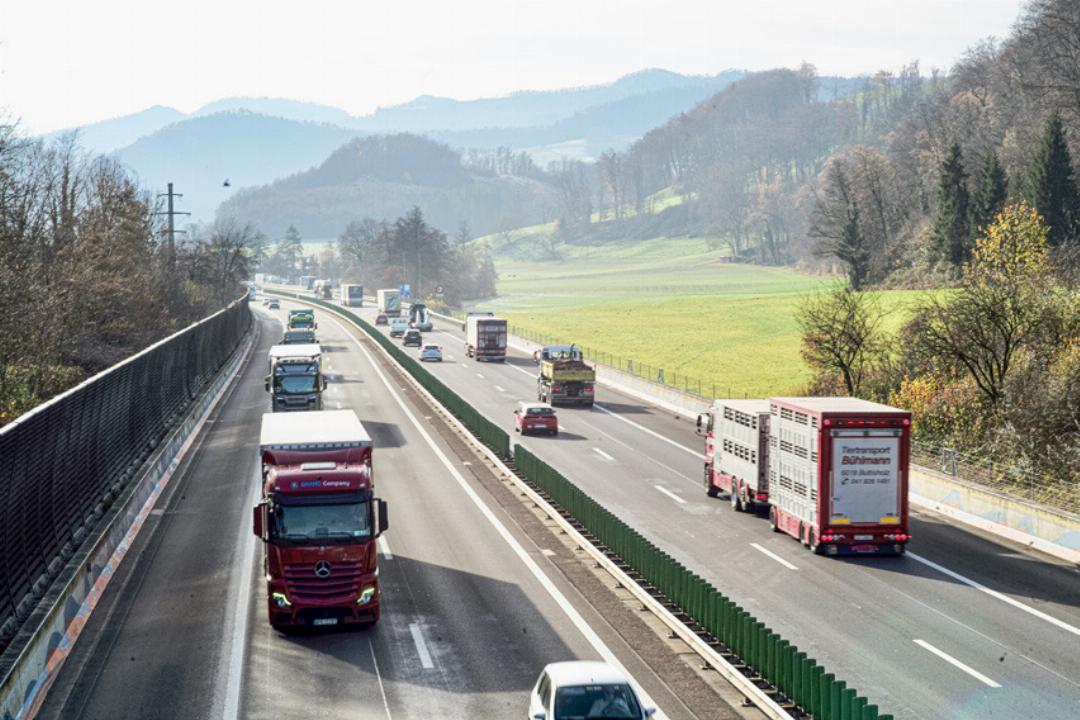 Bemängelt wird auch, dass die Wildtierbrücke über die A2 und die Kantonsstrasse das Landschaftsbild im Diegtertal stören würde. Bild David Thommen Bemängelt wird auch, dass die Wildtierbrücke über die A2 und die Kantonsstrasse das Landschaftsbild im Diegtertal stören würde. Bild David Thommen