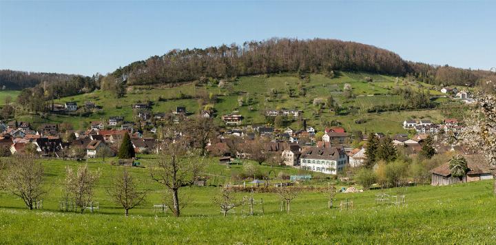 Die Rebhalde: Hier betreiben wieder einige Hobbywinzer Rebbau. Auch die Spazierwege sind beliebt. Bilder zvg