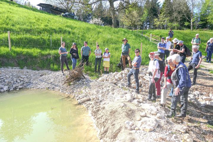 Einer der sechs Weiher, der gebaut wurde und zur Heimat des Glögglifroschs werden soll. Bild Elmar Gächter