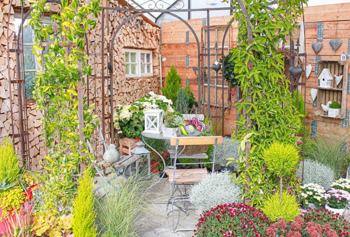 Herbstpflanzen bereichern den Balkon und den Garten. Bild zvg