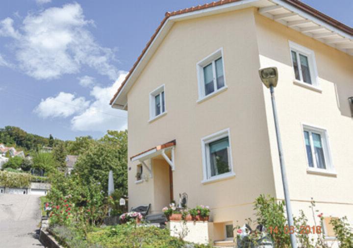 Bei der Fassadensanierung geht es nicht nur um die Optik, sondern auch um die Langlebigkeit. Bild zvg