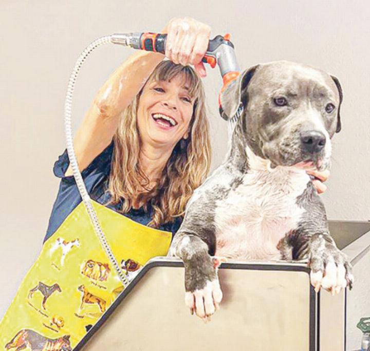 Nathalie Laissue geht mit viel Geduld auf die Hunde ein. Bild zvg