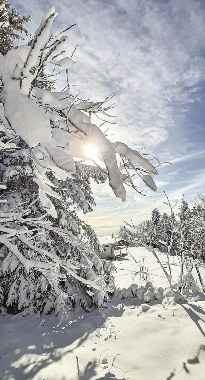 Winterwunderland auf der «Vue des Alpes», schreibt Katharina Niederhäuser-Catelli aus Bargen (BE) zu ihrem Foto.