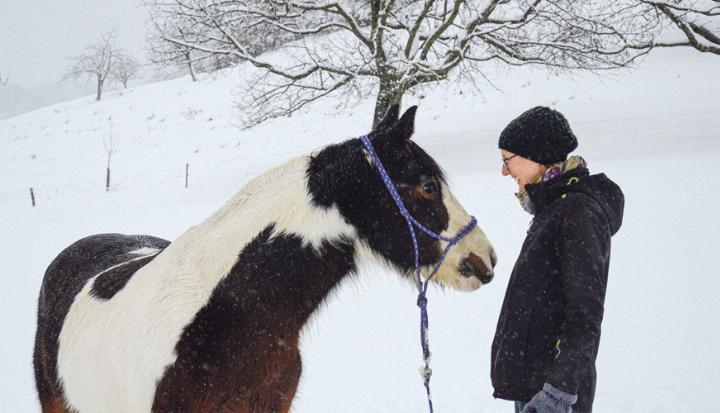 Martina Manta begleitet Menschen mit pferdegestütztem Coaching dabei, Klarheit, Stärke und neue Perspektiven zu fi nden. Bild zvg