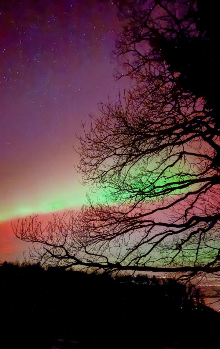 Grüne, rote und violette Lichter sorgen für tolle Aufnahmen. Bild Johannes Sutter