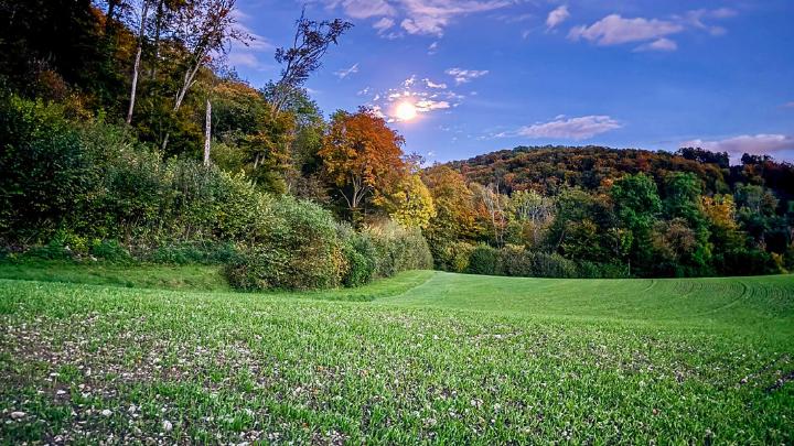 Ivo Schädler aus Läufelfingen konnte dieses Bild bei seinem Abendspaziergang Richtung Hauenstein aufnehmen.