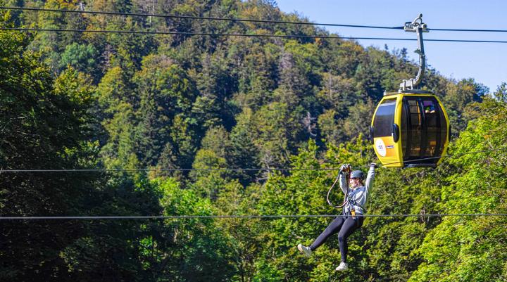 Auf den «Ziplines» des Waldseilparks lässt sich die Aussicht geniessen. Bild zvg