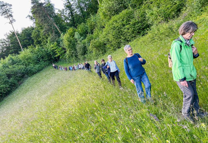 Zirpende Grillen, Vogelgezwitscher und Alphornklänge: Auf der Wanderung nach Buus bekamen die Teilnehmenden einiges zu hören. Bilder Daniel Hanselmann