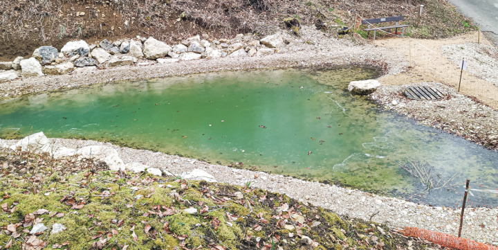 Der Weiher erscheint nach der Sanierung in altem Glanz. Bild svr.