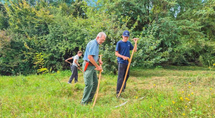 Schwieriger, als es aussieht: Besucher konnten das Mähen mit der Sense ausprobieren. Bilder zvg/AGNHS