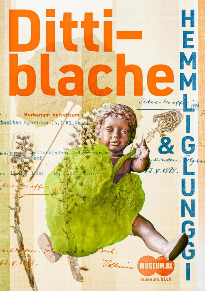 Die Mundartbezeichnungen von zahl reichen Pflanzen sind im Buch « Dittiblache & Hemmliglunggi» zu finden. Bild zvg