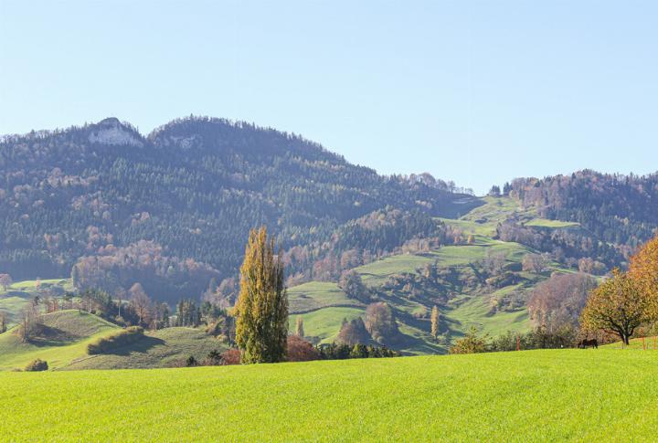 Strassen, Feldwege, Drainagen und die Wasserversorgung müssen in Eptingen erneuert werden – Blick von der Laufmatt ins Bölchengebiet. Bild Janis Erne