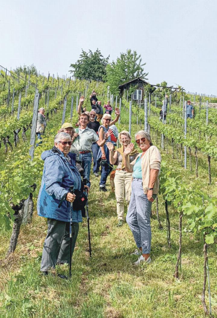 Die Teilnehmenden erfuhren in den «Roten Reben» interessantes rund um den Weinbau. Bild zvg