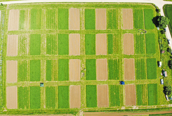 Seit fast einem halben Jahrhundert werden neben dem Birsmattehof in Therwil verschiedene landwirtschaftliche Anbaumethoden getestet. Bild zvg