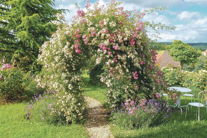 Beatrix Riggenbach aus Rünenberg hat in ihrem Garten einen beeindruckenden Rosenbogen.