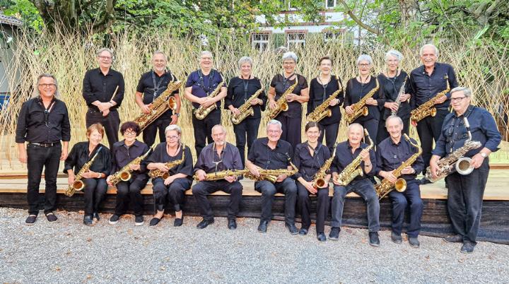 Freuen sich auf alle Konzertbesucher: die «Silverhorns». Bild zvg