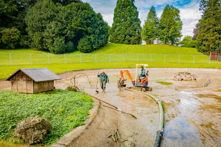 Der Weiher ist ausgepumpt – so präsentierte sich die Lage gestern. Bild sep.
