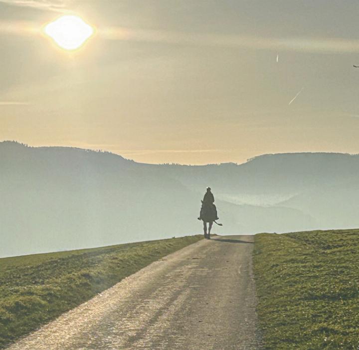 Monika Zech Buess aus Birsfelden konnte den Sonnenschein beim Sonntagsspaziergang in Wittinsburg geniessen.