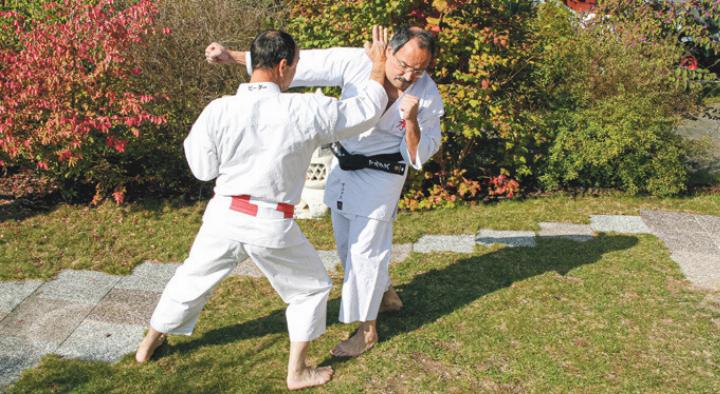 Kempo ist eine japanische Kampfkunst, welche die körperliche und geistige Fitness 
stärkt. Bild zvg