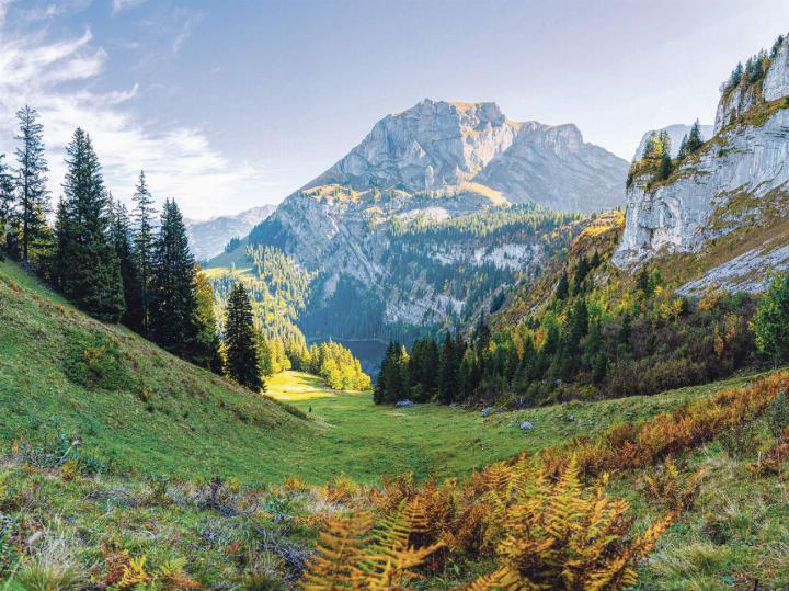 Im Berner Oberland herrscht schon eine wunderbare Herbststimmung. In der Region der Axalp konnte Jan Furler aus Bubendorf diese Herbstmomente mit der Kamera einfangen.