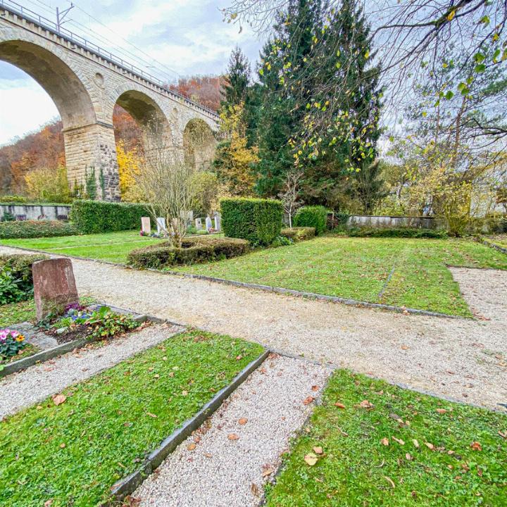 Nach und nach wird zwischen den Grabfeldern auf dem Friedhof Rümlingen für mehr Biodiversität gesorgt. Bild Brigitte Buser Nach und nach wird zwischen den Grabfeldern auf dem Friedhof Rümlingen für mehr Biodiversität gesorgt. Bild Brigitte Buser